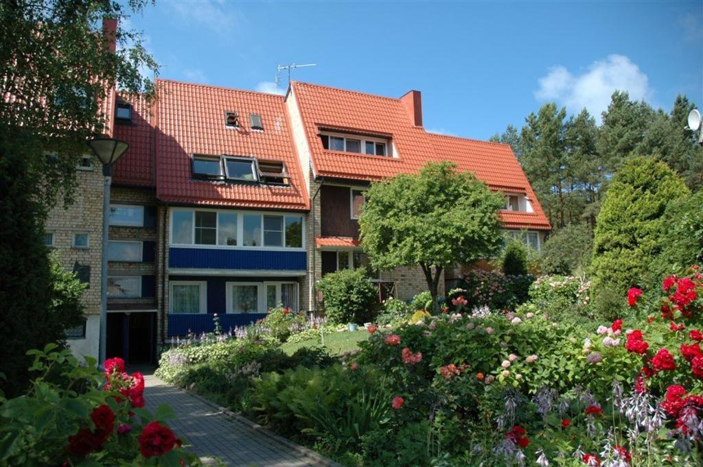 Apartment Pusynas Nida Εξωτερικό φωτογραφία
